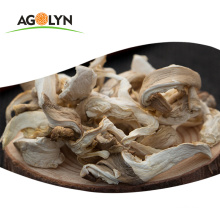 Premium quality nutrious dried  Grey Oyster Mushroom